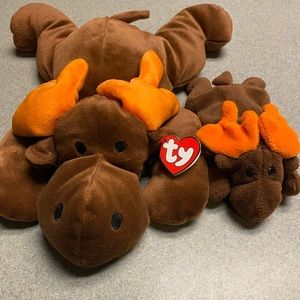 Set of 2 Moose Beanie Babies Antlers & Chocolate